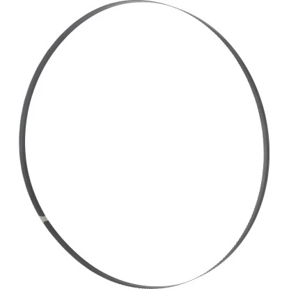 Holzmann Bandsägeblatt 10 Mm Für Holzbandsäge HBS245HQ 1 Holzmann Bandsägeblatt 10 Mm Für Holzbandsäge HBS245HQ