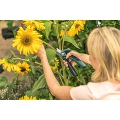 Bosch Akku-Gartenschere EasyPrune -Werkzeugdepot Geschäft 2610319 3058 08