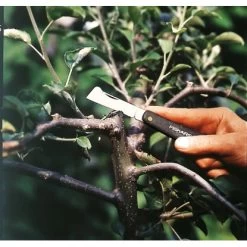 Fiskars Okuliermesser K60 Rostfreier-Stahl 5 Fiskars Okuliermesser K60 Rostfreier-Stahl -Werkzeugdepot Geschäft 8008220020497 4905 2